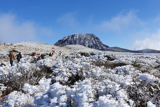 Jeju WEST&SOUTH One Day Tour with MT.halla & UNESCO - Who Is This Tour Best For?