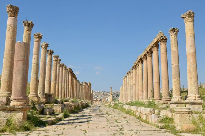 Jerash, Ajloun, and Umm Quais Full-Day Tour - What Travelers Say