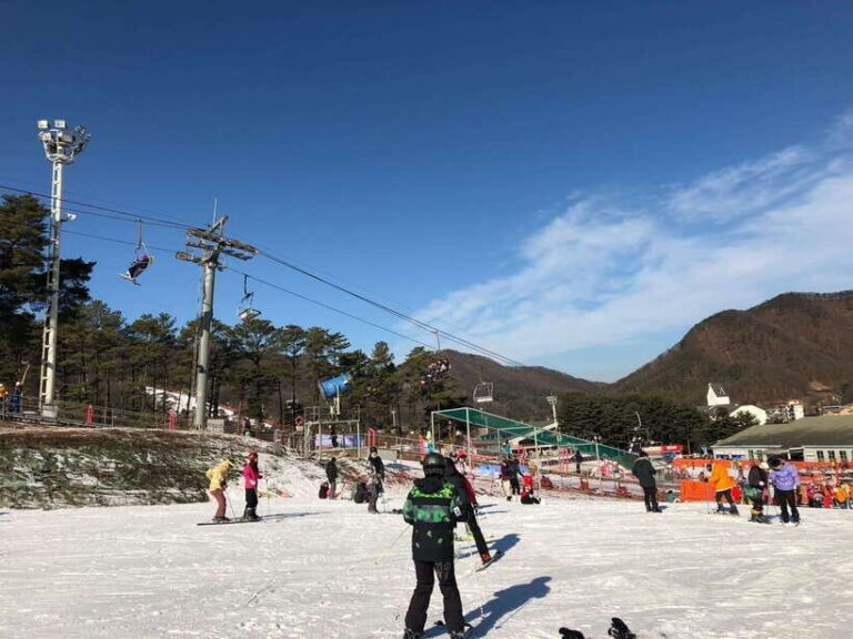 Jisan Forest Ski Resort One Day Tour - What’s on the Itinerary?