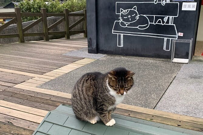 Jiufen, Shifen and Houtong Cat Village Private Tour - Analyzing the Value and Overall Experience