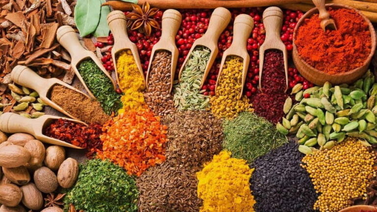 Joazani forest & Spice farm with lunch - Practical Details and Considerations
