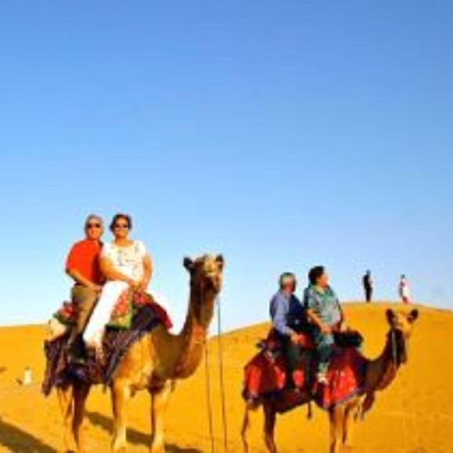 Jodhpur Camel & Jeep Safari with Sunset, Folk Dance, Dinner - The Value and Who Will Love This Tour