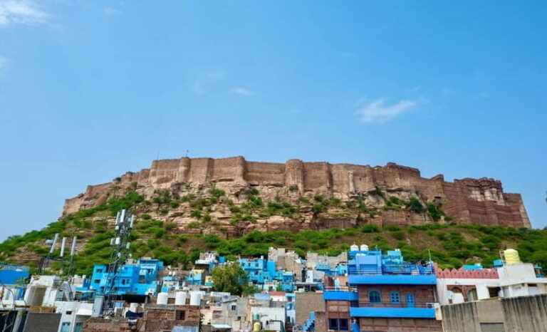 Jodhpur: Mehrangarh Fort and Blue City Highlights Tour - Price and Value Analysis