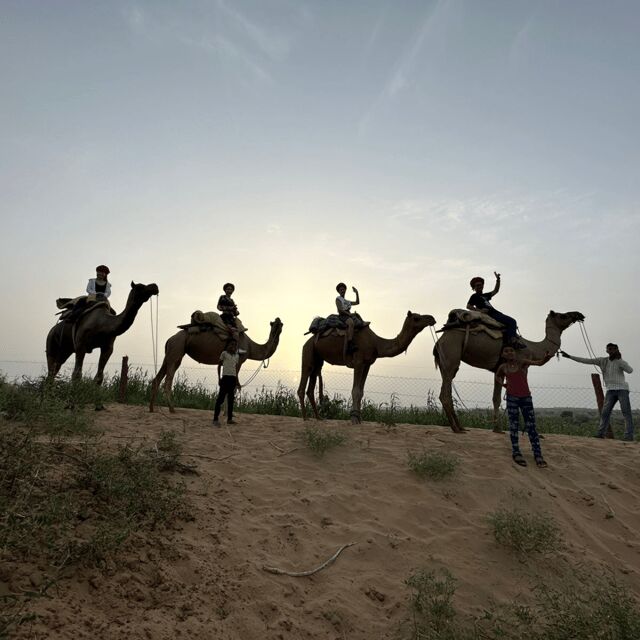 Jodhpur OvernightStay In Desert Rural Village With CamelRide - Authenticity and Guest Experiences
