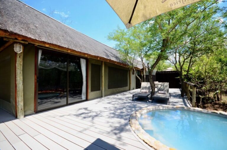 Johannesburg: 6-Day Luxury Kruger National Park Safari - Detailed Breakdown of the Itinerary