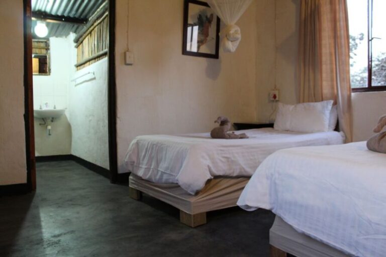 Johannesburg: Affordable 3 Day Kruger Park Safari - The Value and Experience