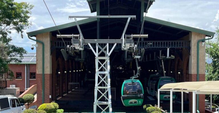 Johannesburg: Cableway and Lunch Boat Cruise Half Day Tour - The Transition to the Boat Cruise