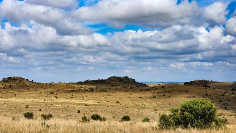 Johannesburg: Cradle of Humankind World Heritage Site Tour - What’s Included and What to Expect