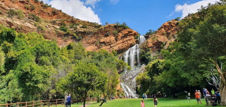 Johannesburg: Layover Tour customised to your needs - Analyzing the Value
