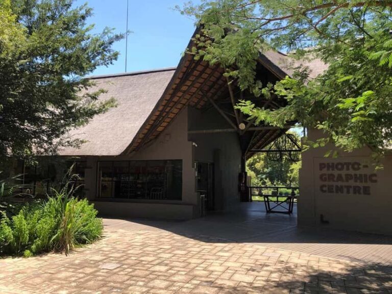 Johannesburg: Lion and Safari Park Tour with Hotel Pickup - The Itinerary and Experience