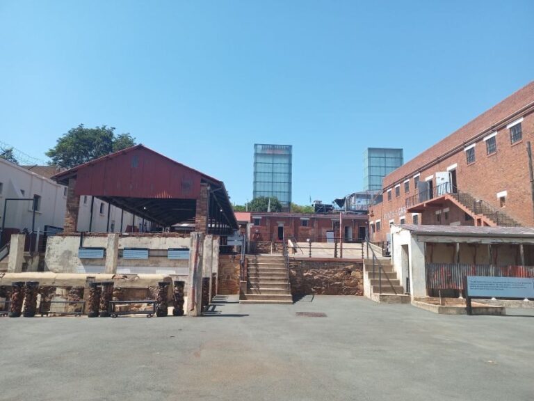 Johannesburg: Private Guided City Tour with Apartheid Museum - The Itinerary: What Youll Experience