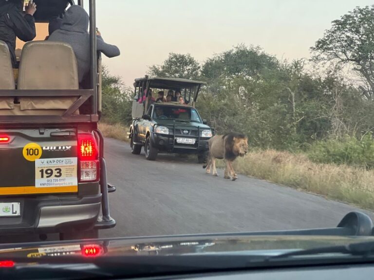 Johannesburg Safari Day Tour - Pilanesberg Big 5 Adventure - Why This Tour Delivers Value