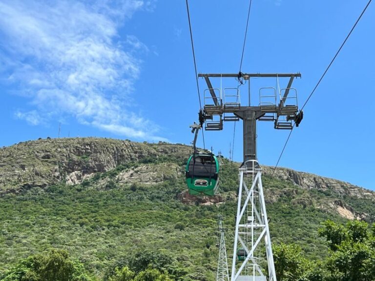 Johannesburg: Wine Tasting and Cableway Half Day Tour - What’s Included and What to Consider