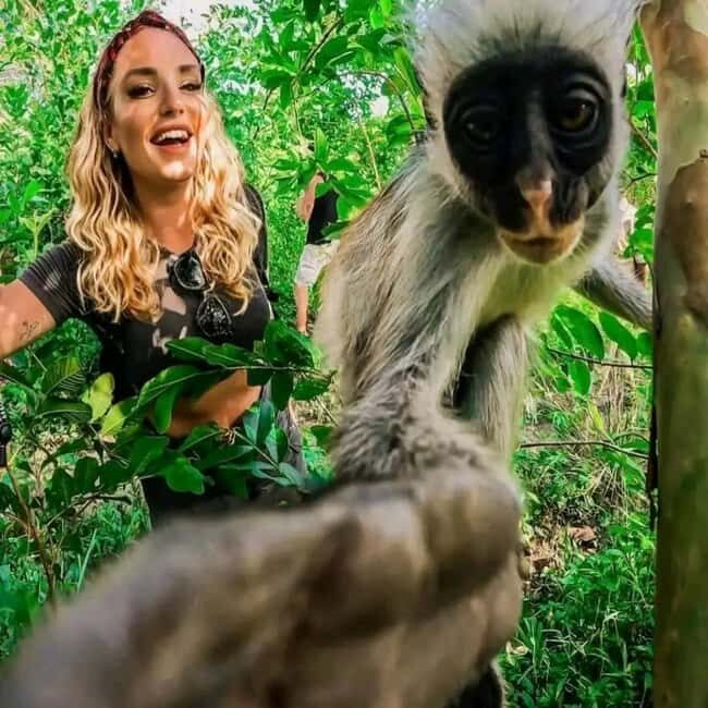 Jozani forest and Salam cave kizimkaz . - What to Expect from Your Zanzibar Eco-Adventure