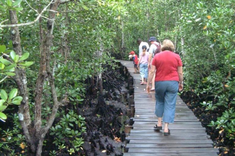 Jozani Forest, Butterfly center and the rock restaurant - Practical Aspects: What To Expect