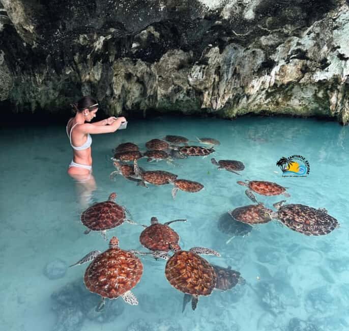 Jozani Forest, Kuza Cave, Salaam Caves & The Rock Restaurant - Exploring Zanzibar in a Day: A Step-by-Step Breakdown