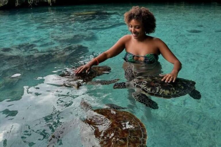 Jozani Forest, Mangrove Kayaking & Sea Turtles Aquarium - What to Expect: A Day of Nature and Culture