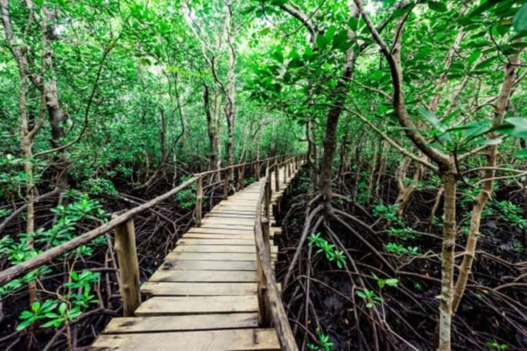Jozani forest national park and Spice farm - Why This Tour Is a Great Choice