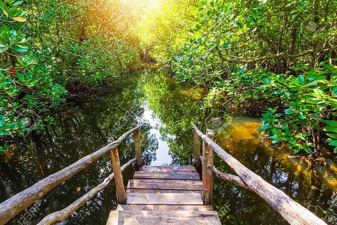 Jozani Forest Reserve Half-Day Guided Tour from Zanzibar - How It Compares to Other Experiences