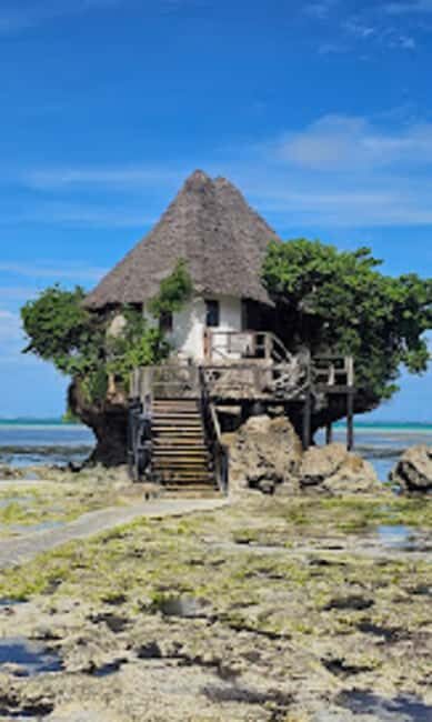 Jozani Forest, Star fish and the rock restaurant - The Practicalities: What’s Included and What’s Not?