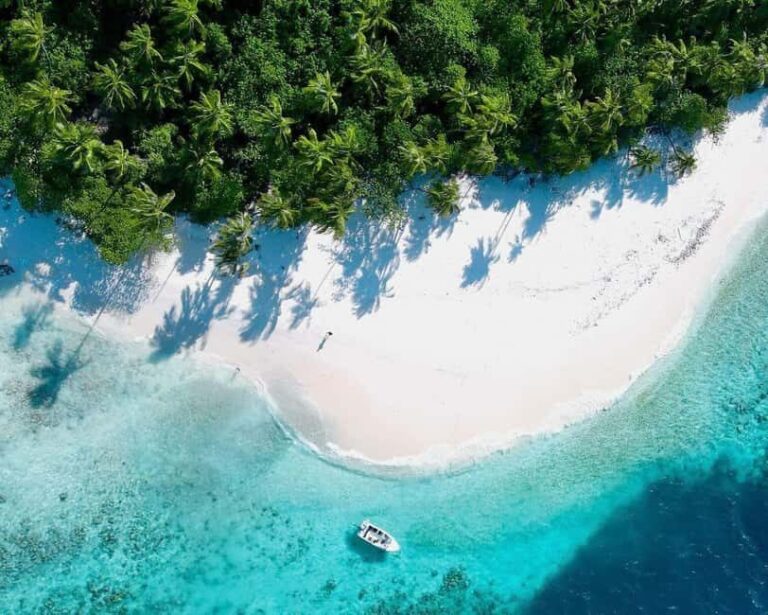 Jozani Forest, Stone Town with Lunch, Night Fish Market - How the Tour Works: Practical Details