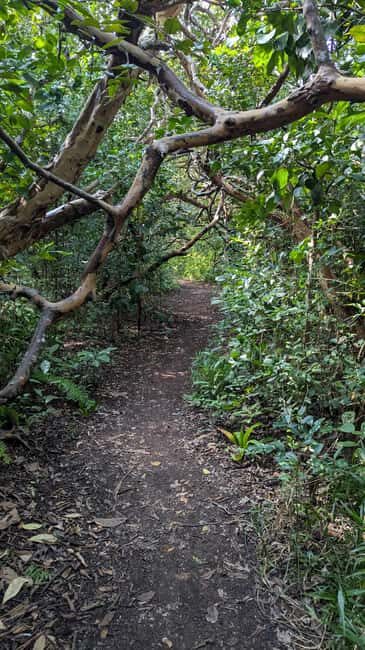Jozani Forest, The Rock,Spice farm with lunch & Stone Town. - The Highlights That Stick