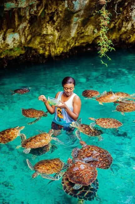 Jozani Forest,Sea turtles Sanctuary,mtendebeach and the rock - The Sea Turtle Sanctuary at Kizimkazi
