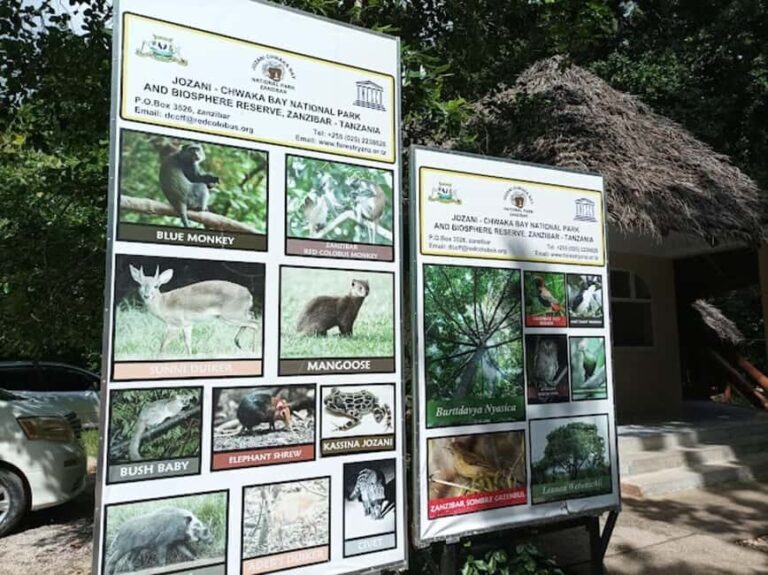 Jozani national,saalam cave and Mtende beach - A Deep Dive into the Experience
