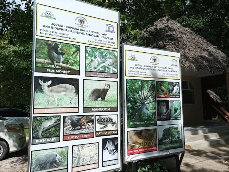 Jozani national,saalam cave and Mtende beach