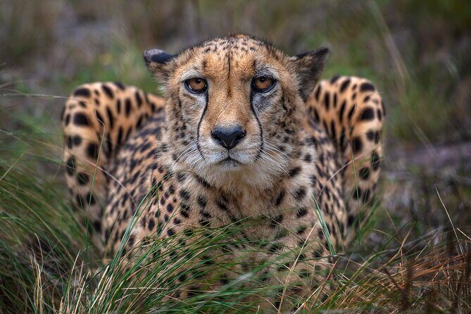 Jukani Wildlife Sanctuary Admission with Guided Tour - The Bottom Line