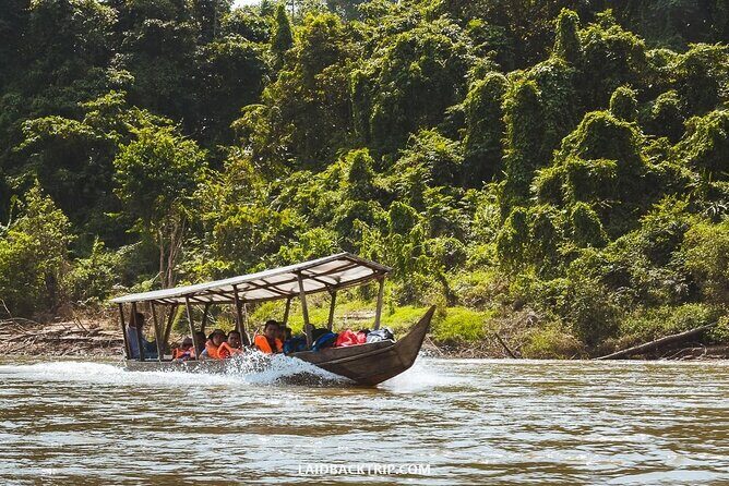 Jungle Odyssey: Unleash Your Adventure in Taman Negara! - The Practical Side: Transportation, Duration, and Booking