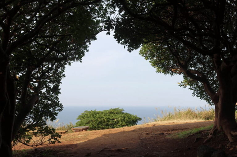 K-Drama Spot: Jeju Western Tour with Hotel Pickup - Why This Tour Makes Sense for You