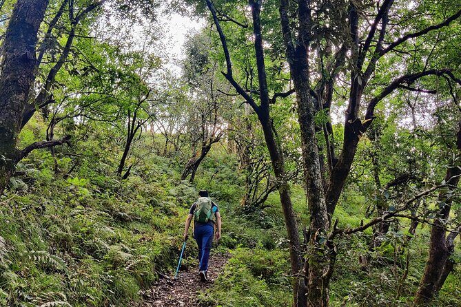 Kaflani Day Hike - Mussoorie - Why This Hike is a Great Choice