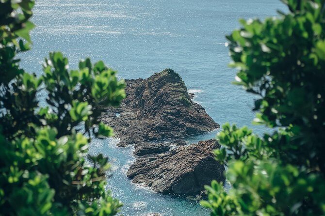 Kagoshima Private Customizable Half Day Tour - Who Will Love This Tour?