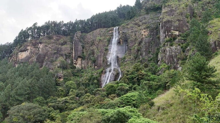 Kalupahana: Horton Plains Foothill Trail Guided Hike - The Bottom Line