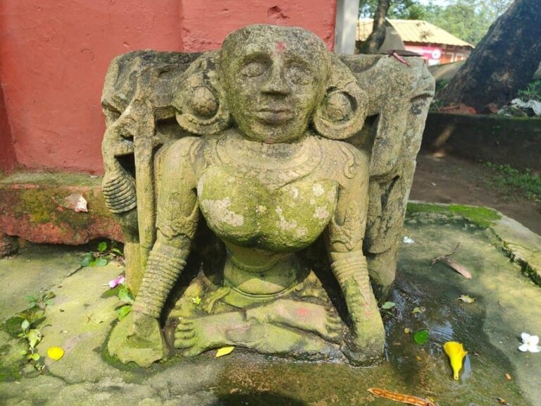 Kamakhya Temple: Heritage Walking Tour - What to Expect During the Tour