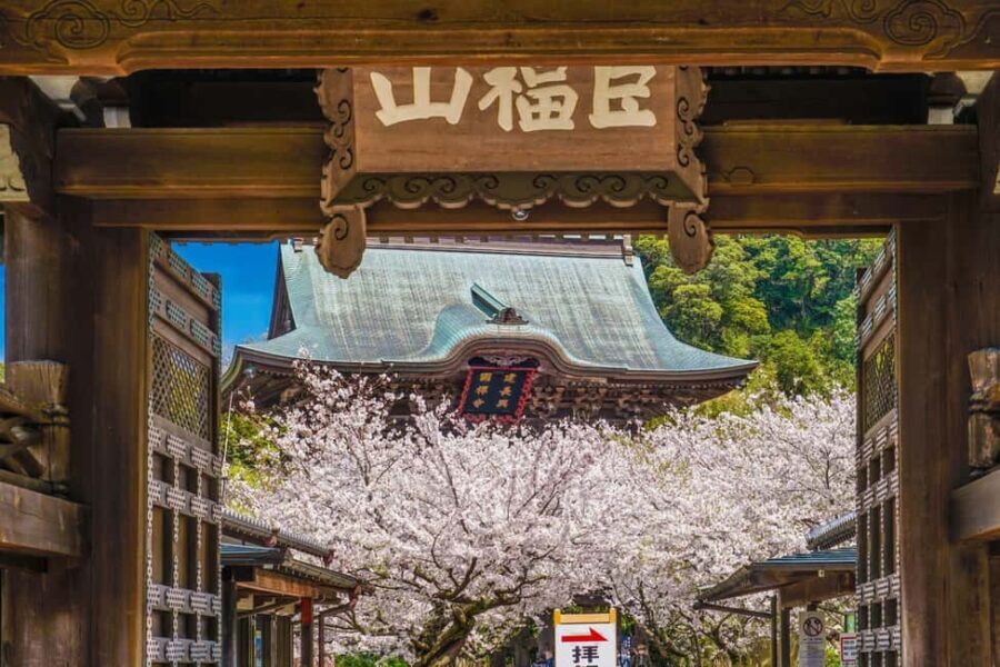 Kamakura: A Journey Through Medieval Japan - Indulging in Kamakura’s Iconic Buddha