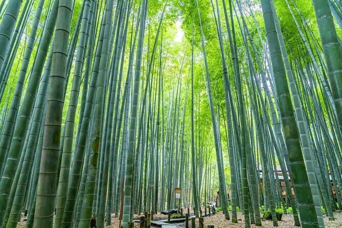 Kamakura Heritage Bike or Walk Tour with ex-Rickshaw guide - The Itinerary in Detail