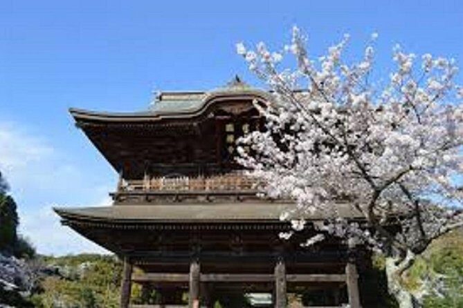 Kamakura Private Custom Tour - A Closer Look at the Itinerary