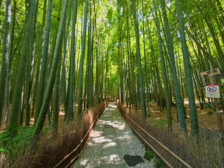 Kamakura Zen: Great Buddha, Nature, Bamboo & Samurai Culture - What’s Included & What’s Not