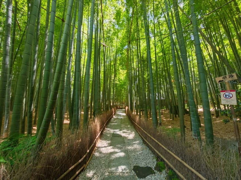 Kamakura Zen: Great Buddha, Nature, Bamboo & Samurai Culture - What’s Included & What’s Not