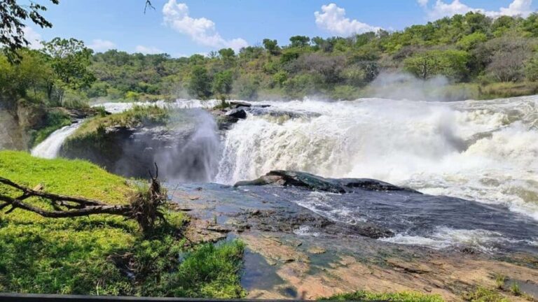 Kampala: 3-Day Murchison Falls Safari - An In-Depth Look at the 3-Day Murchison Falls Safari