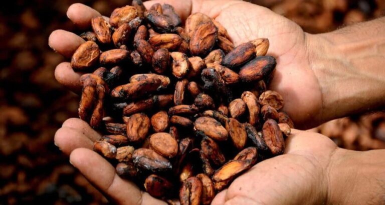 Kampala: Hands-On Chocolate Making Experience - Why This Tour Stands Out