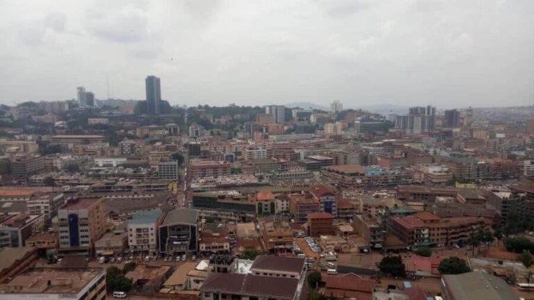 Kampala: Luxury City Tour with Hotel Pickup and Drop-Off - The Practical Details