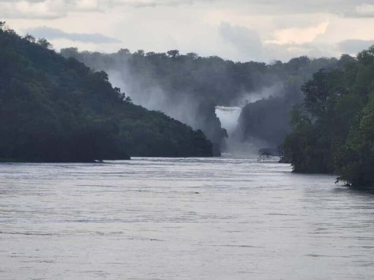 Kampala: Murchison Falls Safari with Nile Cruise & Rhinos - Day Two: Wildlife and the Nile