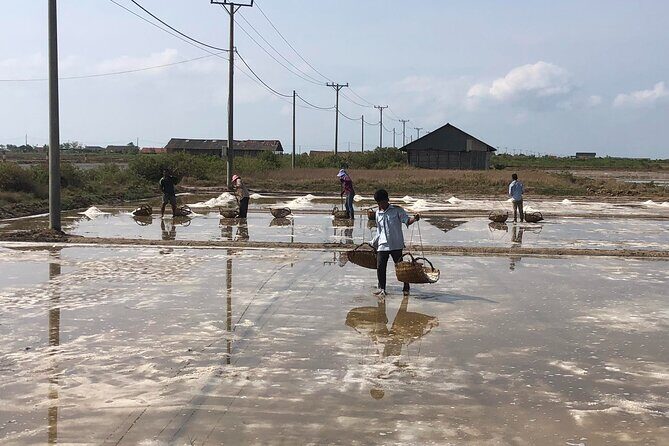 Kampot Countryside Tour - Pepper Farm, Salt Lake, Caves, and more - Who Will Love This Tour?
