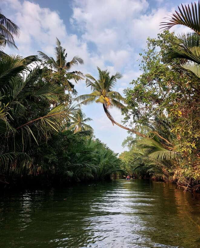 Kampot's Countryside & Kayak Tour, Pepper Farm include Lunch - An In-Depth Look at What the Tour Offers