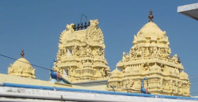Kanchipuram in a Day: Complete Temple & Silk Tour - The Practical Side: What Makes This Tour Stand Out