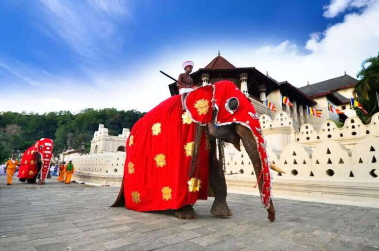 Kandy: 2-Day Tour Kandy ,Ambuluwawa Tower with Accommodation - Practical Tips and What to Expect