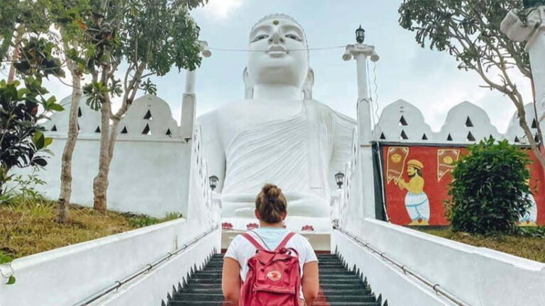 Kandy City Explore Tour Morning/Evenening Private Tour - The Transportation and Schedule